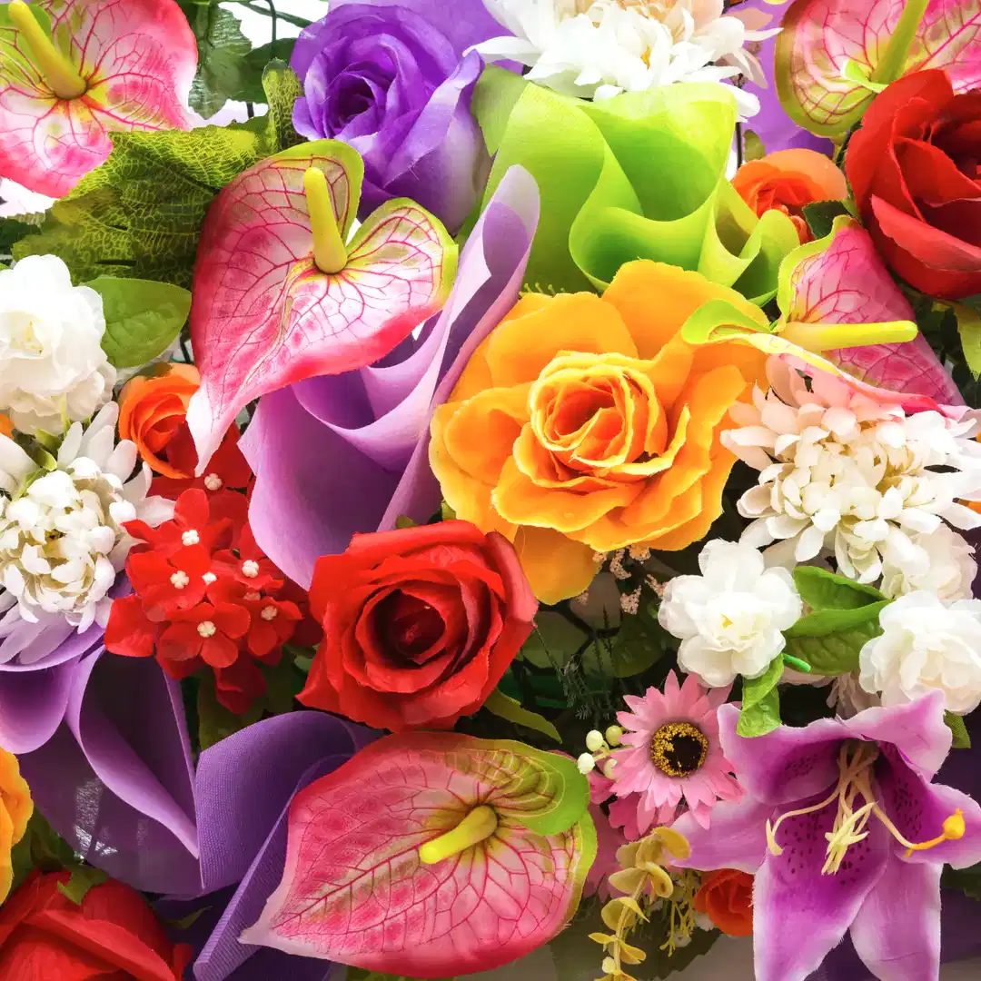 Annual Plants and Flowers - Plants By Post