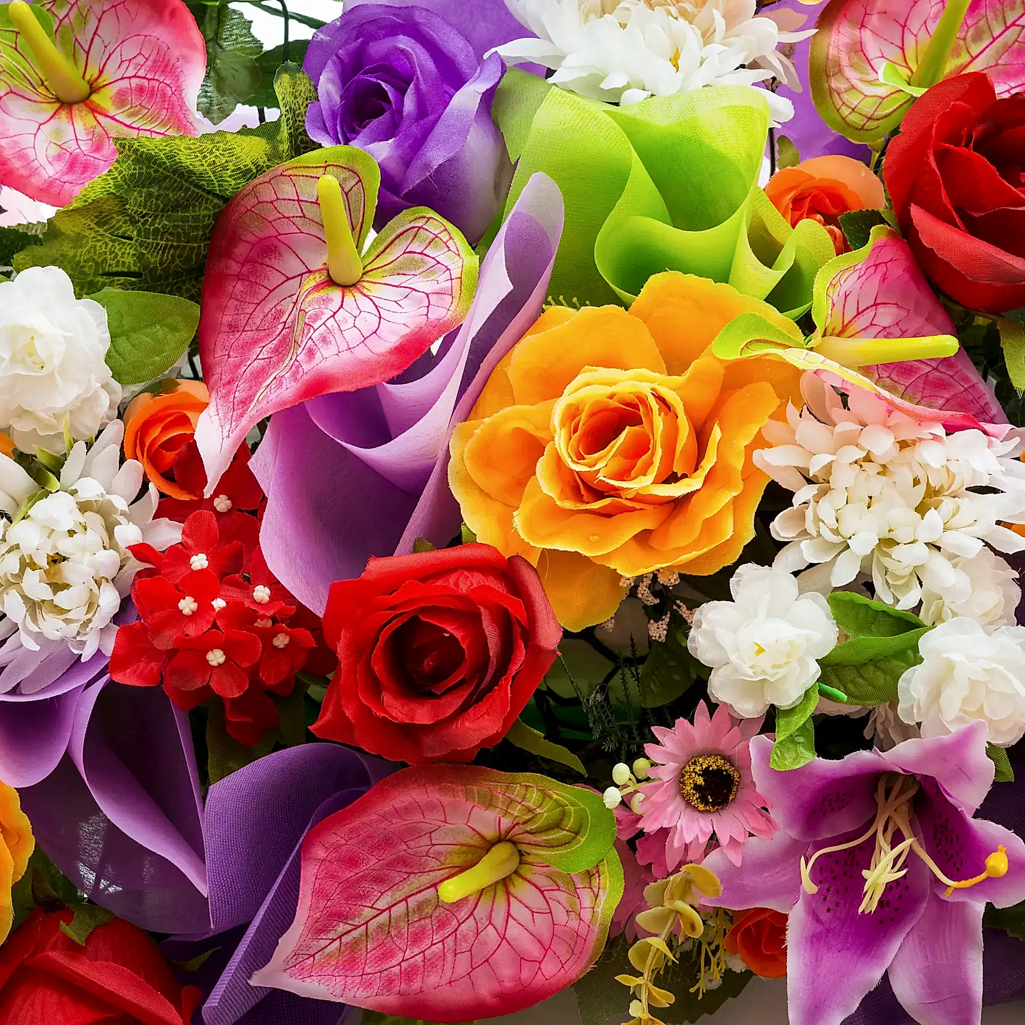 Annual Plants and Flowers - Plants By Post