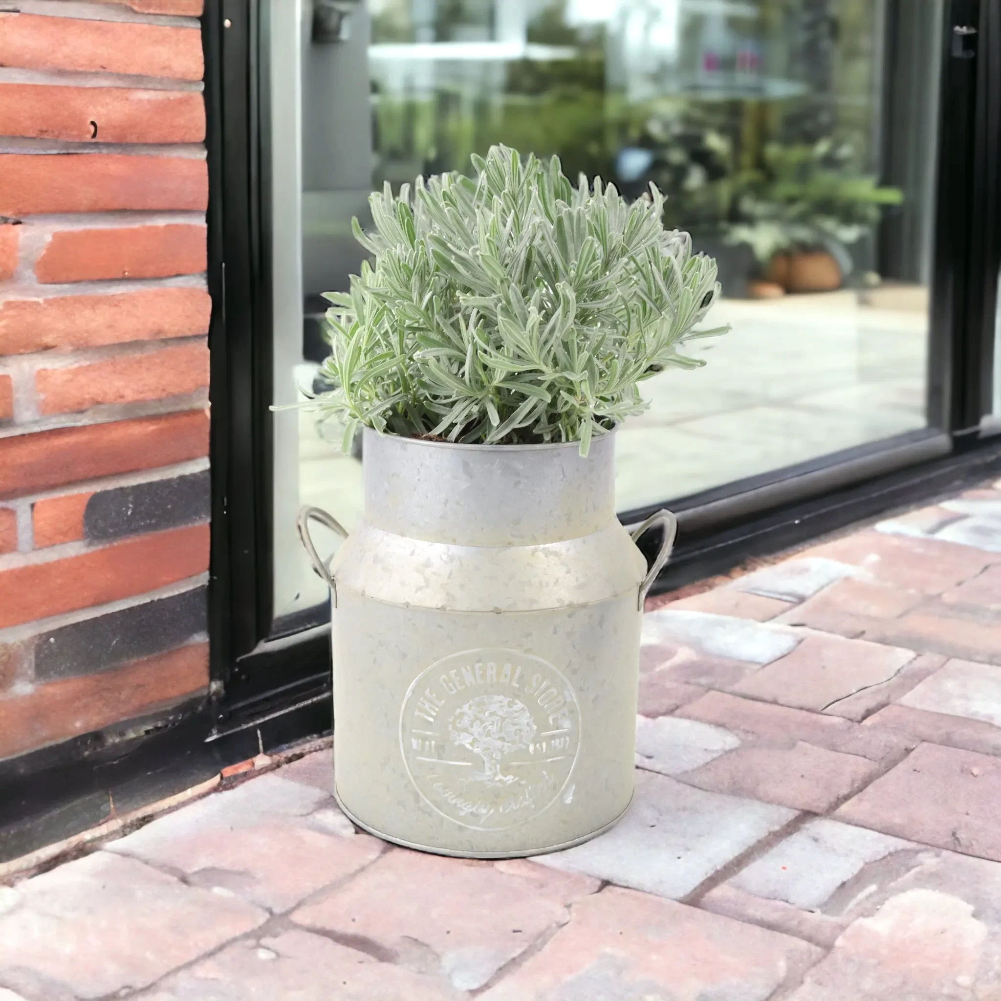 Recommended Plants
