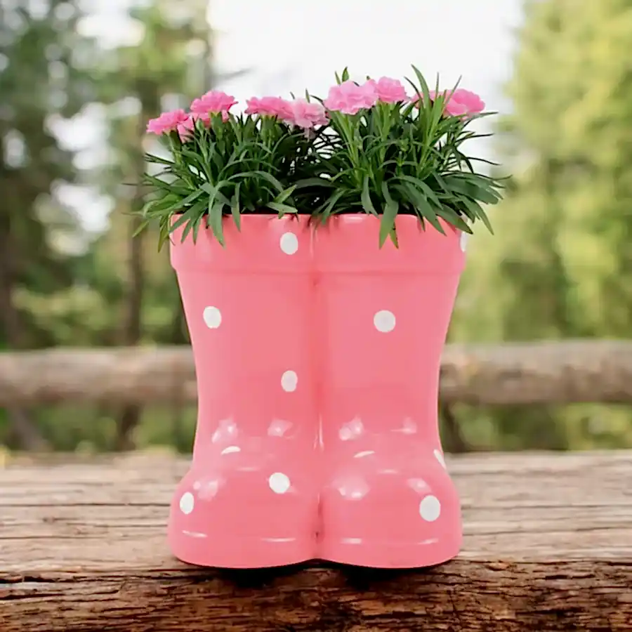 Wellies Seasonal Planter Plants By Post