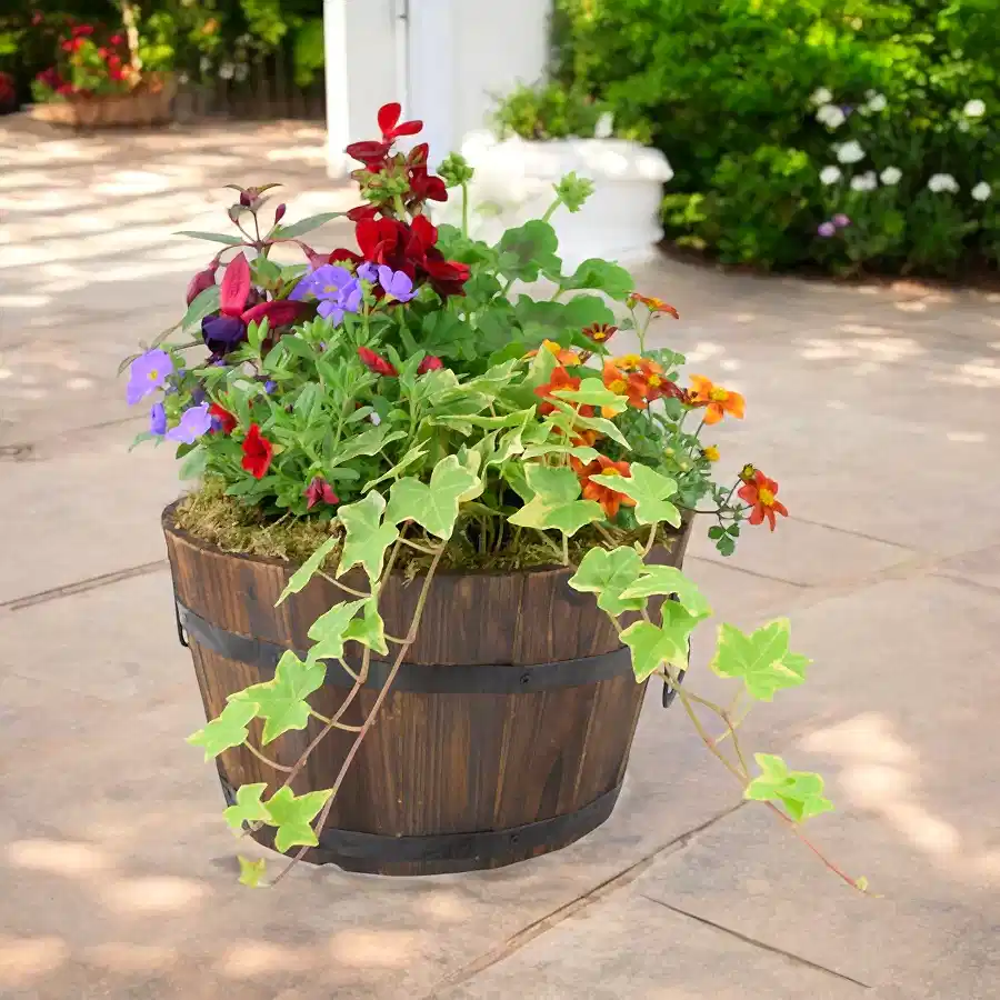 Seasonal Planted Wooden Barrel – 30cm Rustic Outdoor Planter Plants By Post