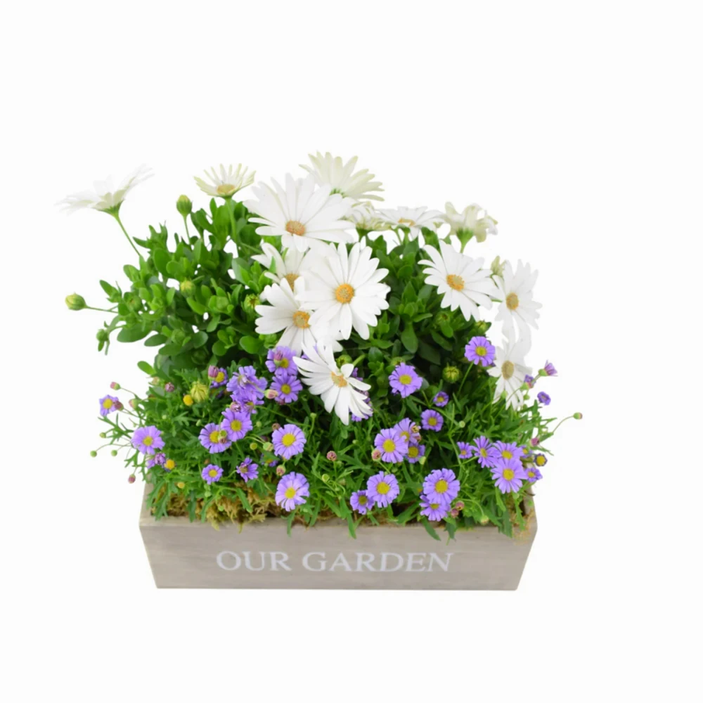 Our Garden Wooden Seasonal Planter Plants By Post