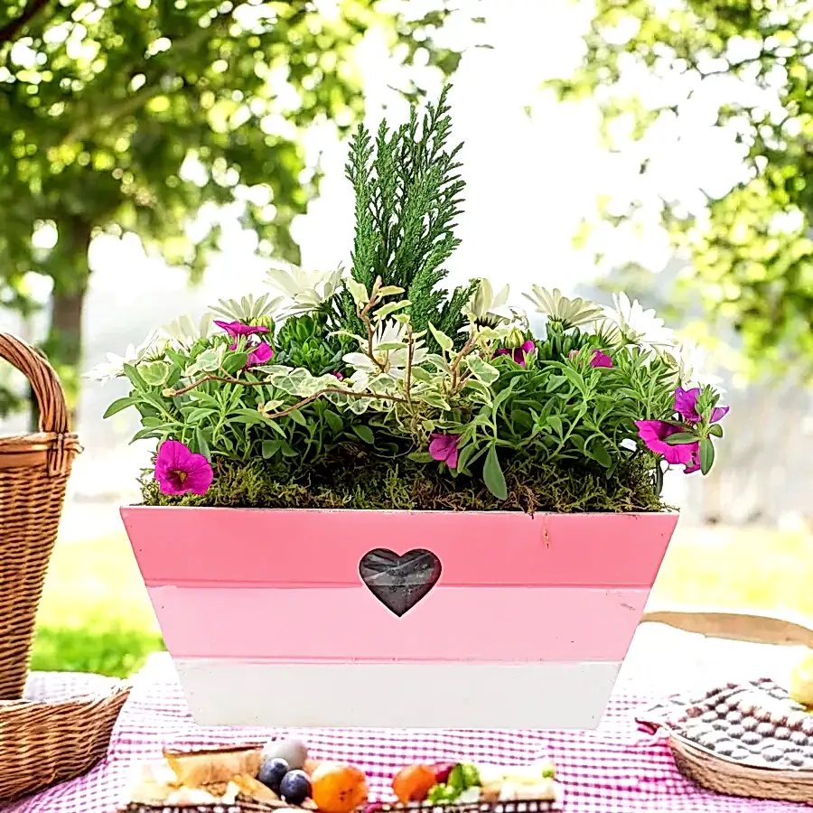 Seasonally Planted Pink & White Wooden Trough Plants By Post