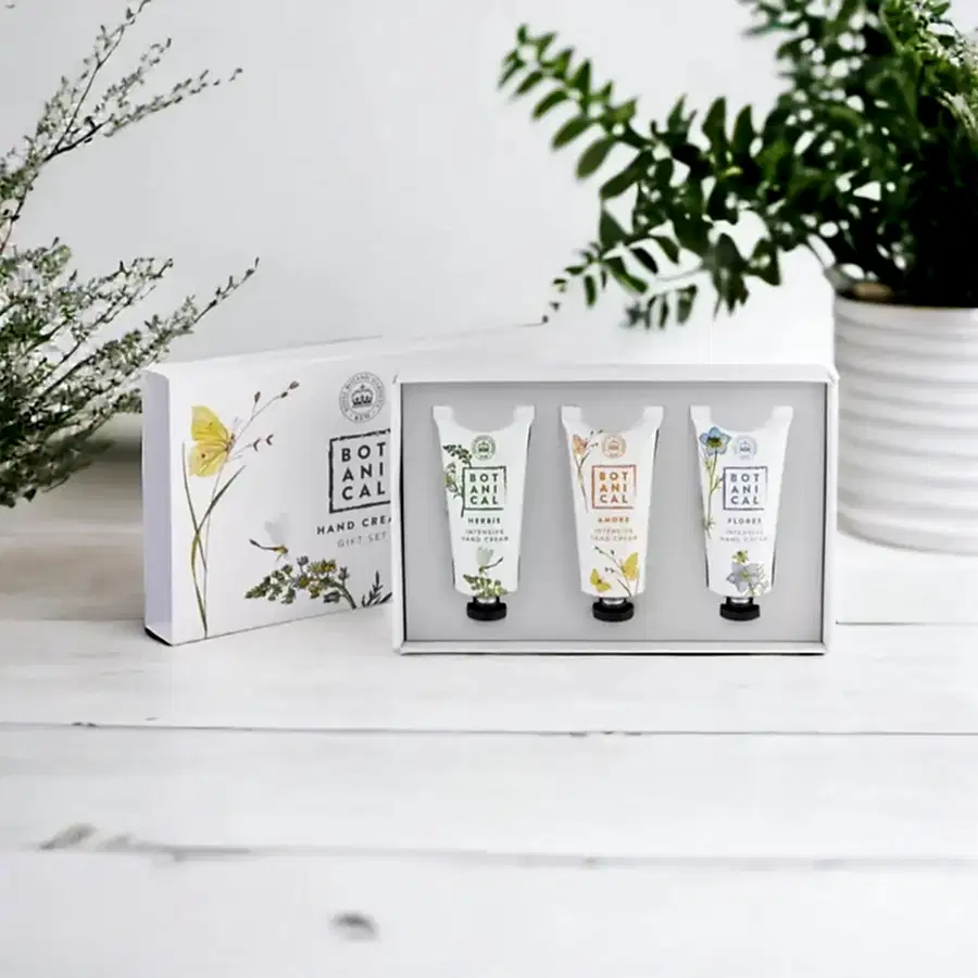 Royal Botanical Gardens Kew Hand Cream Trio 40ml Each