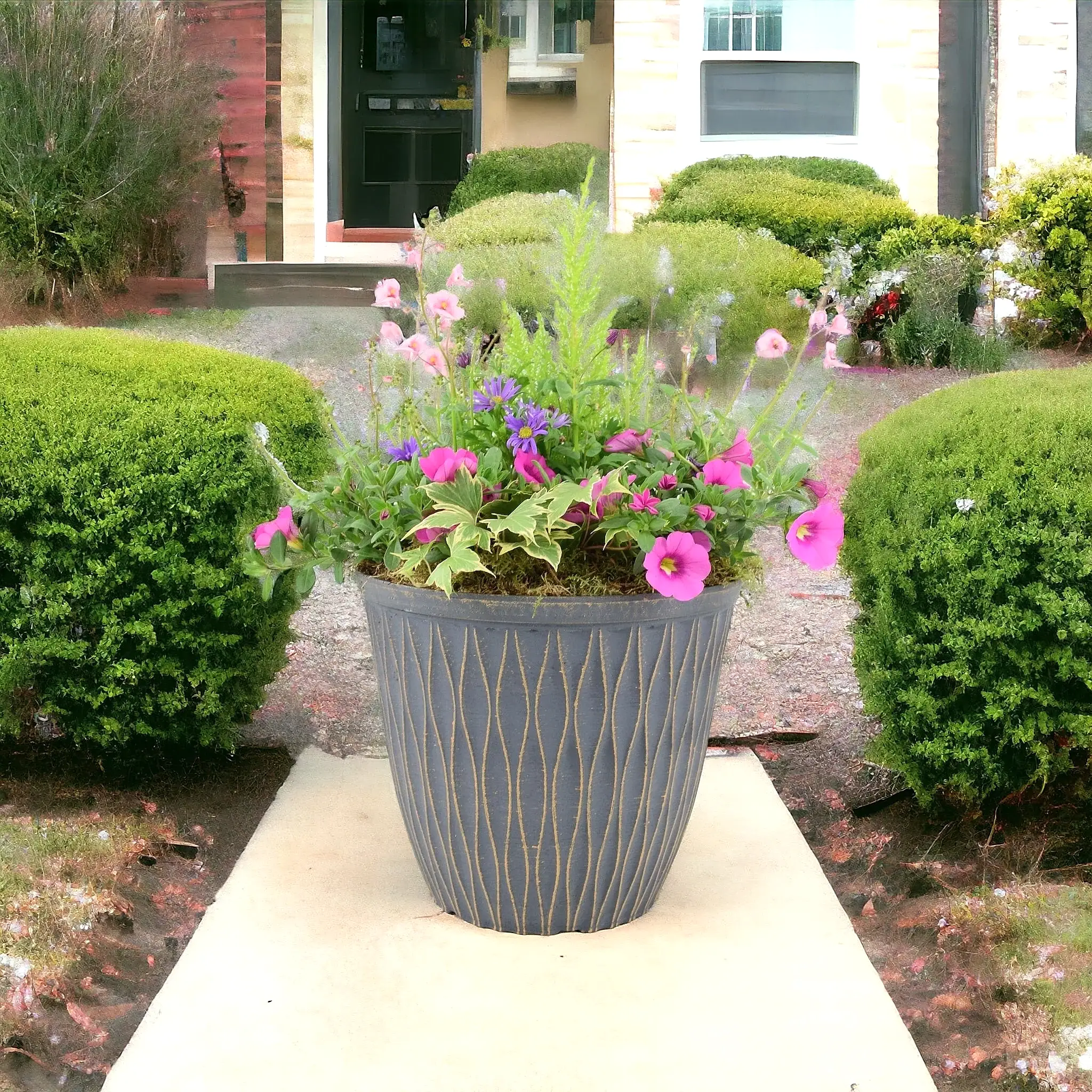 Seasonal Planted Container Pot – Colourful Outdoor Display for Patios and Gardens Plants By Post