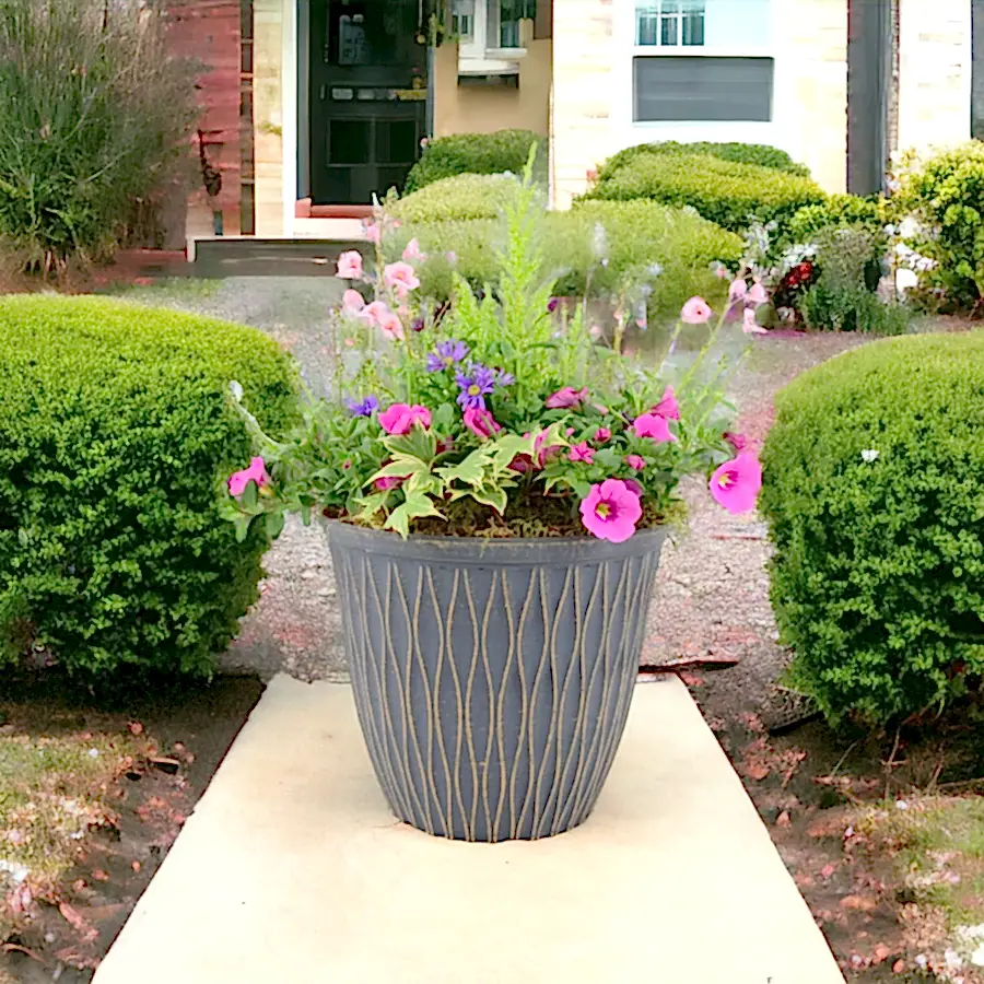 Seasonal Planted Container Pot – Colourful Outdoor Display for Patios and Gardens Plants By Post