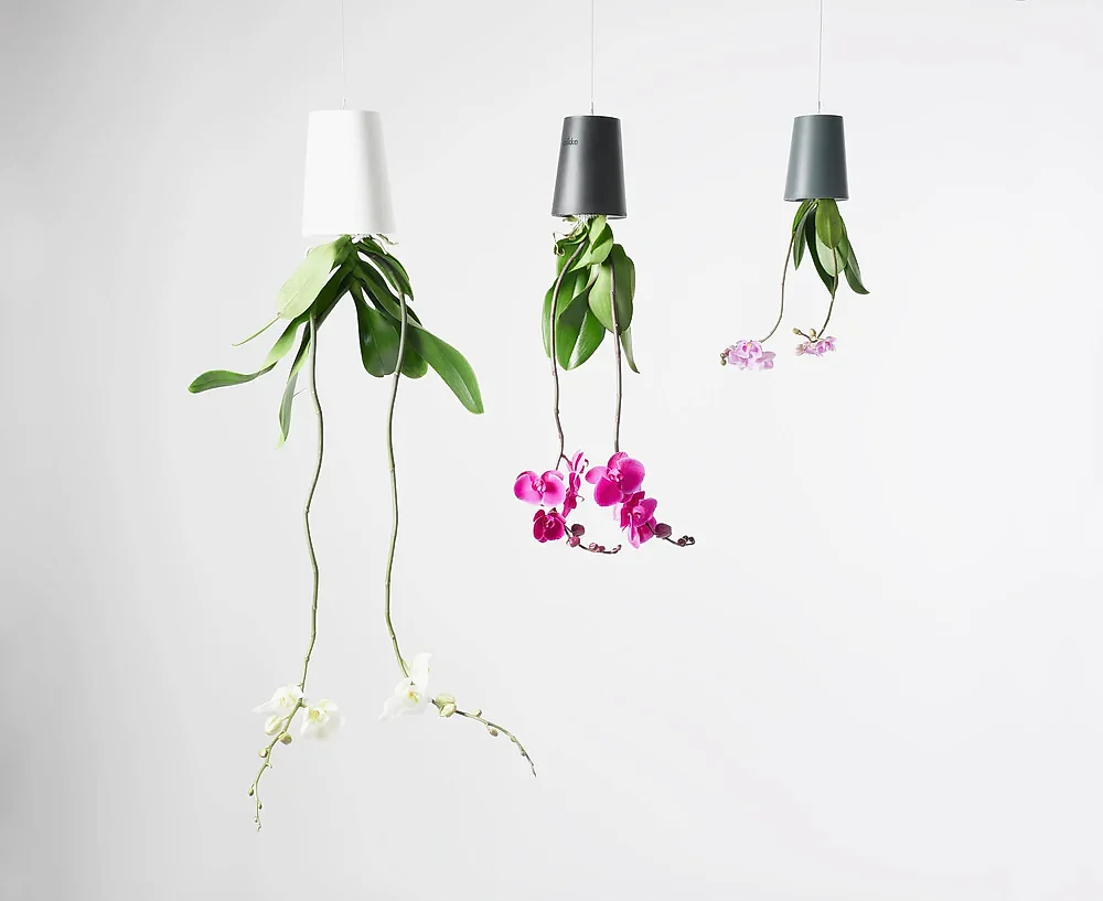Boskke Sky Planter Recycled Hanging Planter (3 Sizes)