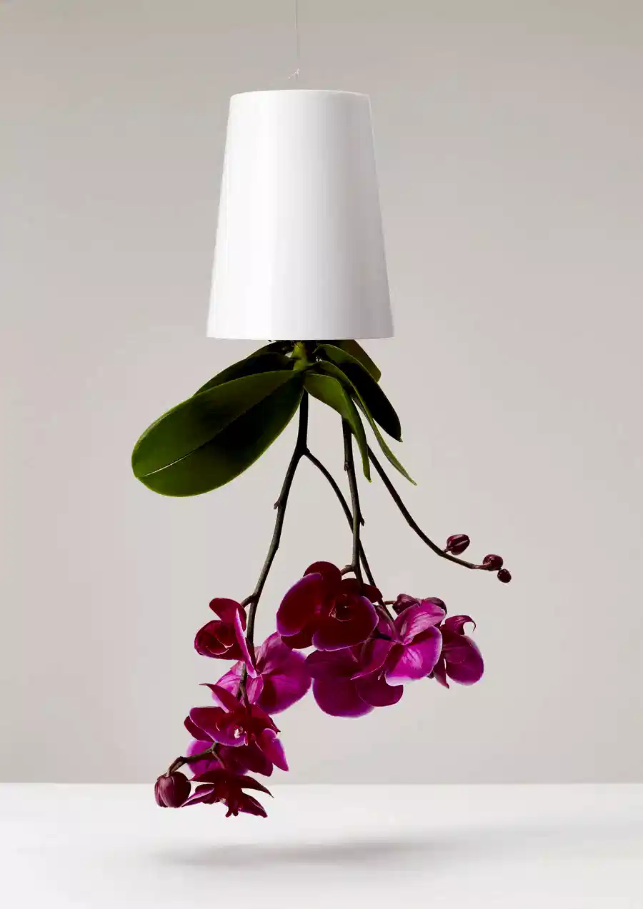 Boskke Sky Planter Recycled Hanging Planter (3 Sizes)