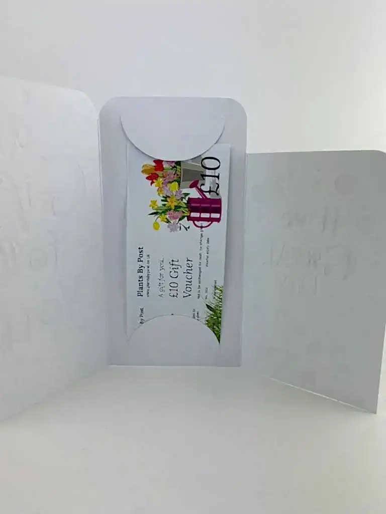 Gift Vouchers With Wallet